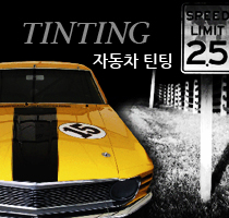 tinting 자동차 틴팅