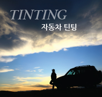 tinting 자동차 틴팅