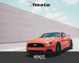 비비드