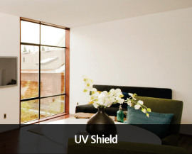 UV Shield